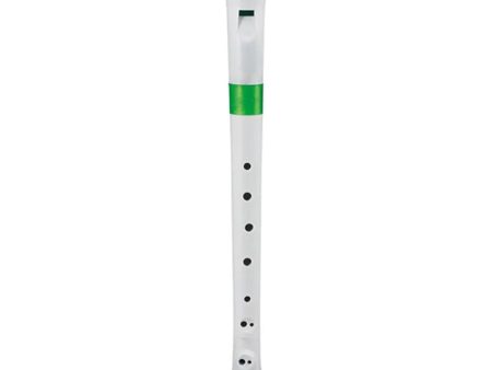 Nuvo N310RDGRG Recorder with Transvinyl Case German (White Green) Online now