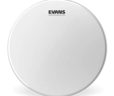 Evans B14UV1 14   UV Coated Batter Head Cheap