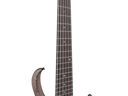 Ibanez BTB806MSTGF BTB Bass Workshop 6-String Multi Scale Electric Bass With Hardshell Case (Transparent Gray Flat) Hot on Sale