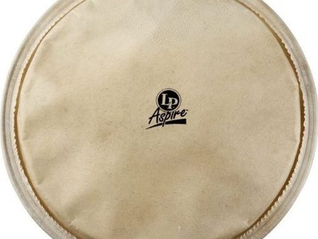 Latin Percussion LPA630A Aspire Djembe Head - 12.5  Online now