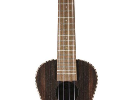 Leho LHUC-ALEB Arch Back Ebony Concert Ukulele For Discount