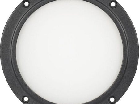 American DJ ELP5L60 60° Frost Filter for ADJ Encore LP5IP LED Par Supply